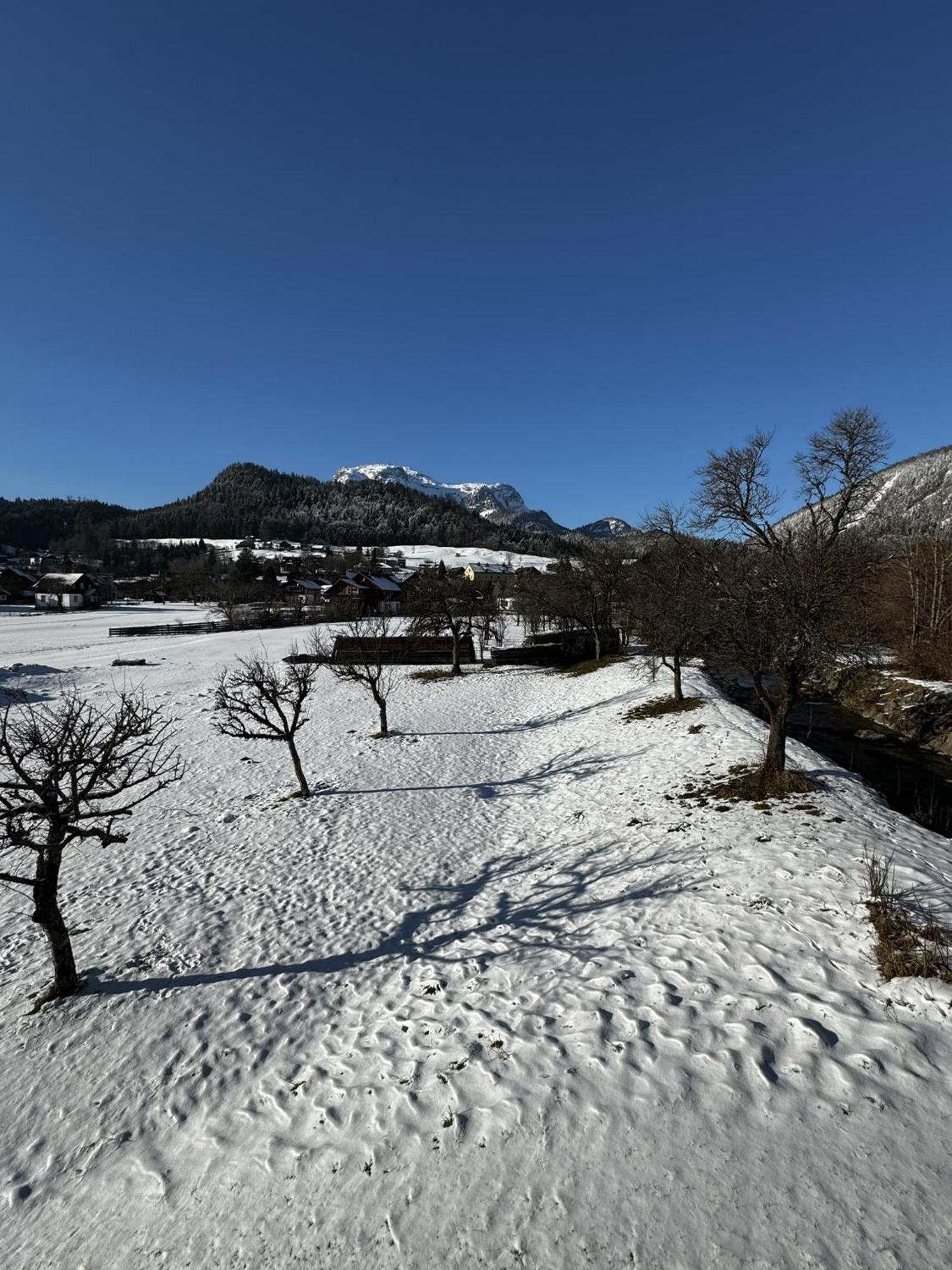 Heli'S Holiday Suites, 8992 Altaussee, Suites "Dachstein", "Sarstein", "Trisselwand" Kamer foto